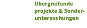 Übergreifende projekte & Sonderuntersuchungen