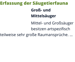 Erfassung der Säugetierfauna Groß- und Mittelsäuger Mittel- und Großsäuger besitzen artspezifisch teilweise sehr große Raumansprüche. …