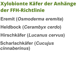 Xylobionte Käfer der Anhänge der FFH-Richtlinie Eremit (Osmoderma eremita) Heldbock (Cerambyx cerdo) Hirschkäfer (Lucanus cervus) Scharlachkäfer (Cucujus cinnaberinus)