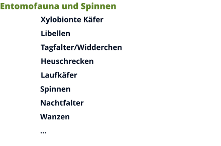 Entomofauna und Spinnen Xylobionte Käfer Libellen Tagfalter/Widderchen Heuschrecken Laufkäfer Spinnen Nachtfalter Wanzen …