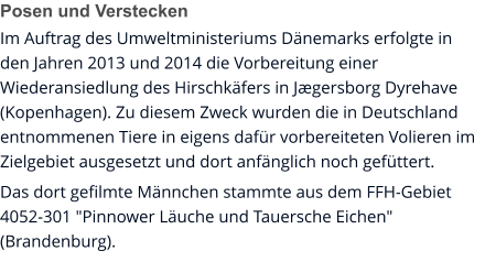 Posen und Verstecken Im Auftrag des Umweltministeriums Dänemarks erfolgte in den Jahren 2013 und 2014 die Vorbereitung einer Wiederansiedlung des Hirschkäfers in Jægersborg Dyrehave (Kopenhagen). Zu diesem Zweck wurden die in Deutschland entnommenen Tiere in eigens dafür vorbereiteten Volieren im Zielgebiet ausgesetzt und dort anfänglich noch gefüttert. Das dort gefilmte Männchen stammte aus dem FFH-Gebiet 4052-301 "Pinnower Läuche und Tauersche Eichen" (Brandenburg).