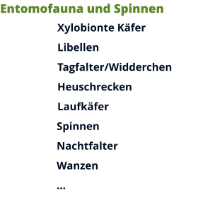 Entomofauna und Spinnen Xylobionte Käfer Libellen Tagfalter/Widderchen Heuschrecken Laufkäfer Spinnen Nachtfalter Wanzen …