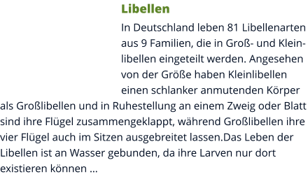 Libellen In Deutschland leben 81 Libellenarten aus 9 Familien, die in Groß- und Kleinlibellen eingeteilt werden. Angesehen von der Größe haben Kleinlibellen einen schlanker anmutenden Körper als Großlibellen und in Ruhestellung an einem Zweig oder Blatt sind ihre Flügel zusammengeklappt, während Großlibellen ihre vier Flügel auch im Sitzen ausgebreitet lassen.Das Leben der Libellen ist an Wasser gebunden, da ihre Larven nur dort existieren können …