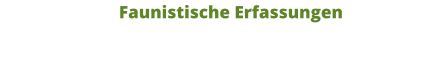 Faunistische Erfassungen