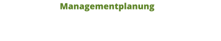 Managementplanung