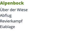 Alpenbock Über der WieseAbflugRevierkampfEiablage